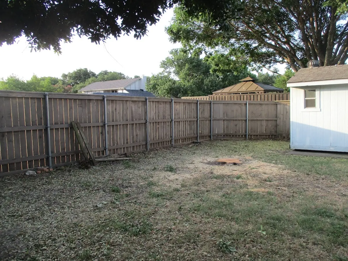 Cleared yard after professional tree removal in Gould City