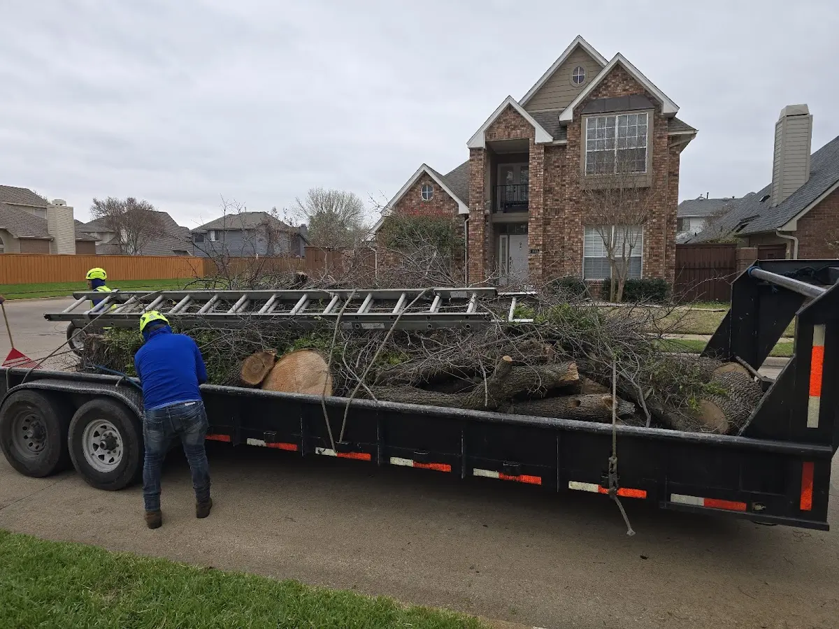 Expert Tree Fertilization with proper safety equipment in Gould City